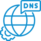 Find DNS records